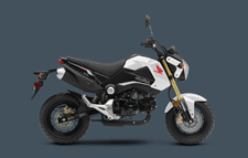 New 2015 HONDA GROM PEARL WHITE The Honda Grom has probably put smiles on more people’s faces than just about anything in the recent motorcycle world. And it’s easy to see why: This little pocket rocket may only displace 125cc, but its fun factor is off the charts. It’s a blast to ride—you get all the excitement and freedom of a motorcycle, but because it’s so user friendly and approachable there’s just about zero intimidation. Best of all, some fresh new graphics and colors make the 2015 Grom even cooler.
And the Grom makes ton of sense when it comes to dollars and cents too: You can run it on pocket change, and you can park it just about anywhere too.
So what are you waiting for? Life on Planet Grom is a whole lot more fun than where you’re living now. And the best part is there’s a Grom with your name on it, waiting for you.
