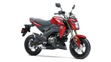 New 2018 KAWASAKI Z125 PRO CANDY PERSIMMON RED Small in size. Big on fun. The Kawasaki Z125 PRO is a nimble streetfigher that’s designed to defy what a lightweight motorcycle can be. This easy to ride bike delivers the freedom and excitement of motorcycling for new and experienced riders alike. With radical Kawasaki “Z” styling, the Z125 PRO is your invitation to the rebellious side of fun.
