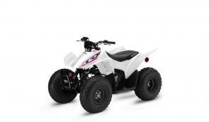 New 2019 HONDA TRX90X WHITE The TRX90X is designed from the outset to be beginner friendly, but it still has plenty of sporty performance, and that means more experienced riders can have fun too. 249963