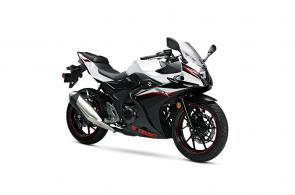 New 2020 SUZUKI GSX250R WHITE/BLACK The 2020 GSX250R is a fully faired street machine that brings the excitement and riding satisfaction of Suzuki’s sportbike heritage to a broader audience.