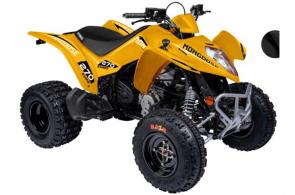New 2020 KYMCO MONGOOSE 270 EURO GOLDEN This sporty model is a dream for the young rider transitioning into full independence. Featuring Maxxis Razr tires for extra traction and an anti-theft lock for the steering, from the Euro Series, to protect the vehicle.