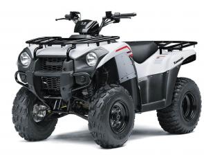 With a mid-size 271cc engine, Brute Force� 300 ATVs can get you around your property quickly and easily, whether youre tackling chores or moving equipment. Nimble handling and low-effort steering make Brute Force 300 ATVs willing accomplices for the active outdoorsman.