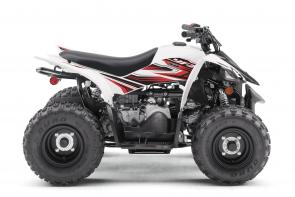 New 2019 YAMAHA YFZ50 WHITE Boasting electric start, automatic transmission, and parental controls, the YFZ50 is perfect for riders 6‑years‑old looking for the perfect entry‑level sport performance ATV. YFZ05YYXKW
This item may not be available immediately in dealer stock. Some items may need to be ordered. See terms for details.