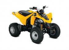 New 2018 CAN-AM DS 250 YELLOW An ATV for riders age 14 and up, the DS 250 sports an energetic 250cc liquid-cooled engine with a Continuously Variable Transmission (CVT). This vehicle gives promising riders a chance to show even more of their stuff.