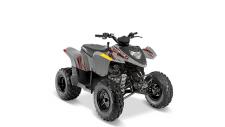 New 2019 POLARIS PHOENIX 200 AVALANCHE GREY Introduce your kids to the joys of off-roading with the Phoenix 200. This ATV is designed for young drivers ages 14 and older, with adult supervision for riders under 16. Delivering reliable performance, automatic PVT transmission, and standard safety features.
