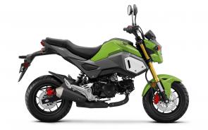 New 2019 HONDA GROM INCREDIBLE GREEN Getting around can suck the life out of you, or it can be the best part of your day. But one way or another, we all gotta get someplace. Why not make it fun? And the best way to do that, naturally, is on a Honda Grom.