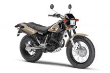 New 2020 YAMAHA TW200 SANDY BEIGE Adaptable and comfortable with fat tires, a low seat and a smooth ride makes it a practical do‑it‑all, dual purpose machine.