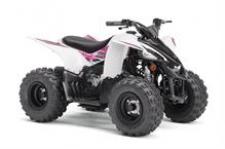New 2019 YAMAHA YFZ50 WHITE Boasting electric start, automatic transmission, and parental controls, the YFZ50 is perfect for riders 6‑years‑old looking for the perfect entry‑level sport performance ATV. YFZ05YYXKW
This item may not be available immediately in dealer stock. Some items may need to be ordered. See terms for details.