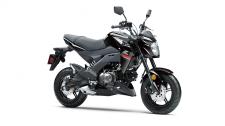 New 2019 KAWASAKI Z125 PRO EBONY Small on size but big on fun, the Kawasaki Z125 PRO motorcycle is a nimble streetfighter that makes a statement wherever it goes. With a 125cc engine, upright riding position and responsive street tires, it’s your invitation to the rebellious side of fun.