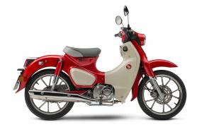 There�s a reason the Honda Super Cub is the world�s most-produced motor vehicle. Because nothing else combines fun, affordability, practicality, sensible size and ease of operation the way a Cub does. Our 2020 model features the same timeless, classic look, but with technology that�s right up to date, including features like a 125cc engine and standard anti-lock brakes. And check out the new color this year: Pearl Nebula Red.