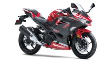 New 2019 KAWASAKI NINJA 400 CANDY PERSIMMON RED/METALLIC MAGNETIC DARK GRAY Approachable power, superb ergonomics and class-leading performance offer a smooth, manageable ride that’s ideal for new riders while also alluring experienced riders.