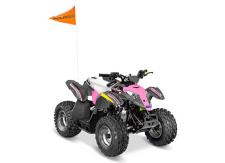 New 2018 POLARIS OUTLAW 50 AVALANCHE GREY PINK POWER If They Like to Ride, They’ll Love to Drive. Share the love of off-roading with your kids by starting them as early as six years and older. The Outlaw® 50 is designed to get kids comfortable with driving on their own with adult supervision.
Ages 6+
Parent Adjustable Speed Limiting
Electric Start
Comes Standard with 1 Youth Helmet and Training DVD
Safety Tether