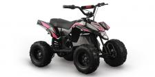New 2017 SSR ABT-E350 PINK