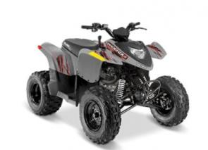 Share The Joy Of Off-Roading
Get your kids a ride of their own. The Phoenix 200 delivers reliable 196cc performance, an automatic PVT transmission, and a comfortable 7” front/6.5” rear of long travel suspension to keep the ride going all day long.


Safety Comes Standard
Every unit comes with one Polaris youth helmet, safety whip flag and speed limiting adjuster.


Educate Early Riders
Starter kit includes training DVD led by Polaris certified trainers to educate your own young rider on all off-road safety basics.