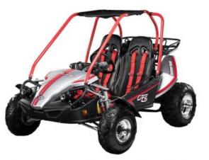 The Hammerhead GTS 150 Platinum Edition incorporates the unique styling of our GTS 150 combined with advanced features such as nitrogen gas shocks, brushed aluminum wheels and added curb appeal. The only stock go kart to be outfitted with performance shocks, drivers can now maintain top-tier performance in hardcore off-road conditions. SHOCKING isn’t it?!?