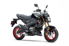Small in size but big on fun, the Kawasaki Z125 PRO motorcycle is a nimble streetfighter that makes a statement wherever it goes. With a 125cc engine, upright riding position and responsive street tires, its your invitation to the rebellious side of fun. 
