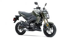 New 2018 KAWASAKI Z125 PRO METALLIC COURAGE GRAY Small in size. Big on fun. The Kawasaki Z125 PRO is a nimble streetfigher that’s designed to defy what a lightweight motorcycle can be. This easy to ride bike delivers the freedom and excitement of motorcycling for new and experienced riders alike. With radical Kawasaki “Z” styling, the Z125 PRO is your invitation to the rebellious side of fun.