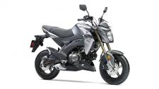 New 2017 KAWASAKI Z125 PRO METALLIC GRAPHITE GRAY Small in size. Big on fun. The all-new Kawasaki Z125 PRO is a nimble streetfighter that’s designed to defy what a lightweight motorcycle can be. This easy to ride bike delivers the freedom and excitement of motorcycling for new and experienced riders alike. With radical Kawasaki “Z” styling, the Z125 PRO is your invitation to the rebellious side of fun.