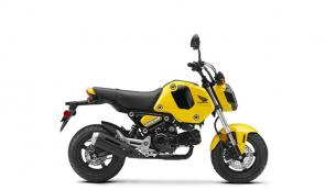 THE NEW GROM: EVEN MORE GROMITUDE
You’ve seen them everywhere, but you’ve never seen one like this. Check out the all-new 2022 Honda Grom, probably the most fun you’ll ever have on two wheels. There’s especially big news this year, because we’ve made some huge improvements to this little pocket rocket. A new engine, with a higher 10:1 compression ratio that increases power and adds to the bike’s zippy performance. And an extra gear in the transmission—that’s right, it’s a five-speed now. Updated digital instruments. Plus a thicker, flatter seat that’s more comfortable and a better fit for taller riders. But the biggest news of all are the Grom’s new body panels. They give the Grom a fresh new look, and they’re easy to remove for customizing your ride. You even get fuel injection, a bigger fuel tank, and optional ABS. So…more comfortable, more powerful, readily customizable and a fun factor that’s off the charts—bring on the Gromance!