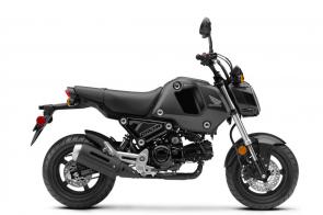 The Honda Grom is one of the most popular motorcycles on the planet, and one ride will tell you why. And even when you’re not riding one, a Grom is just fun to own. They’re a vehicle for self expression in so many different ways. But what always stays the same is the dependability and quality you can count on with every Honda and every Grom. That starts with the 124cc electric-start engine. Fuel injection and a 10:1 compression ratio contribute to the awesome fuel efficiency—a crazy-good 166 miles per gallon!* A five-speed transmission works just like a bigger motorcycle’s for excellent performance. And the plug-and-play body panels are easy to remove if you want to add some custom graphics of your own—it’s like a blank canvas that you can ride. There’s even a version with optional anti-lock brakes. Hey, everyone has someplace to go—why not have fun doing it? Get there on a Grom.
GROM125