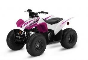 When you’re getting started at something, a good teacher can make all the difference in the world. And there’s never been a better ATV for teaching kids—and even some adults—than the Honda TRX90X. Like all Honda products it’s designed with the rider as the star. Its compact size makes it a good fit for younger riders, and less intimidating too. Our exclusive no-clutch transmission lets them focus on the fundamentals and having fun, but still teaches them to shift gears. And finally, nothing can touch a Honda when it comes to reliability—a big plus whether you’re just starting out, or if the TRX90X is teaching its third generation.

